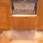 dishwasher with washing up liquid inside