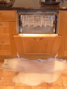 dishwasher with washing up liquid inside