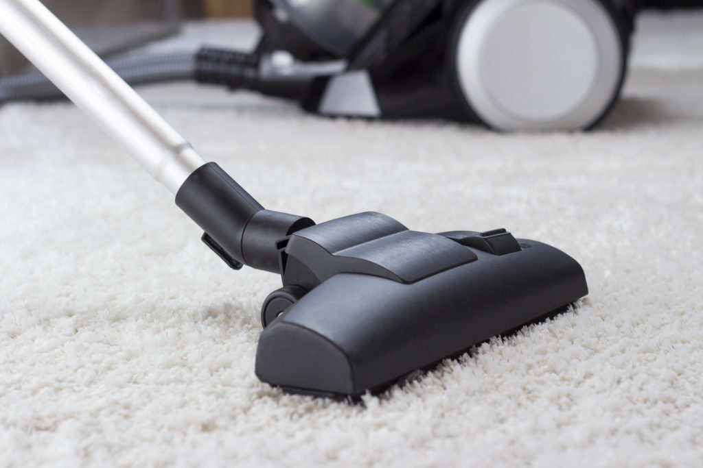 Close up of the head of a modern vacuum cleaner being used while vacuuming a thick pile white carpet